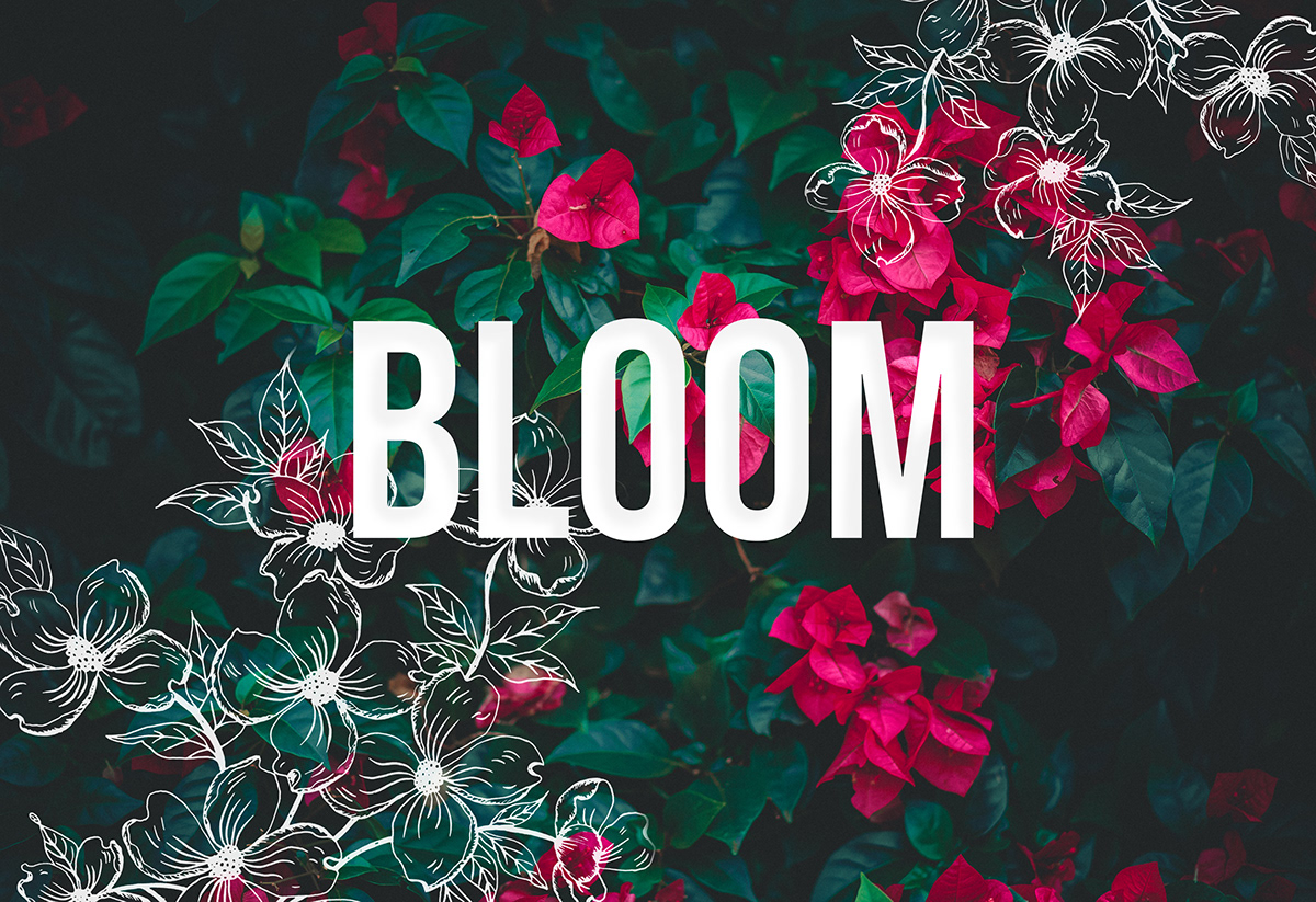 bloom Flores Fotografia Photography  flower girl