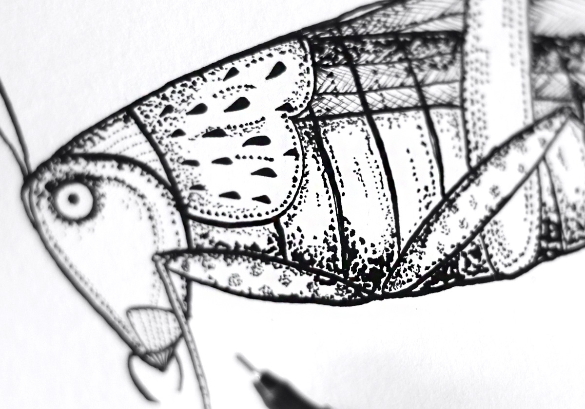 ink octopus Grasshopper jellyfish pen fountain pen handmade sketch