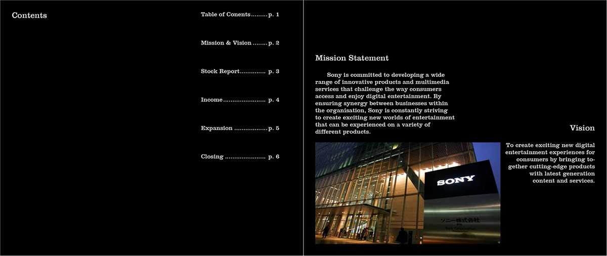 Sony  annual report design Layout