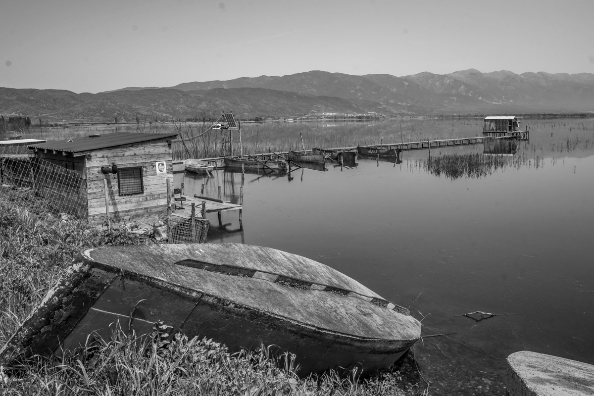 lake polution birds Boats watter black and white Nature