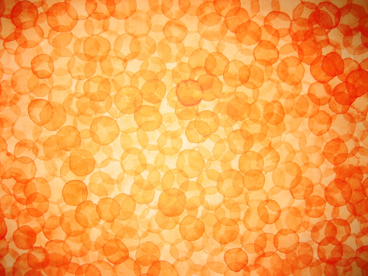 Food  orange ikura watercolor