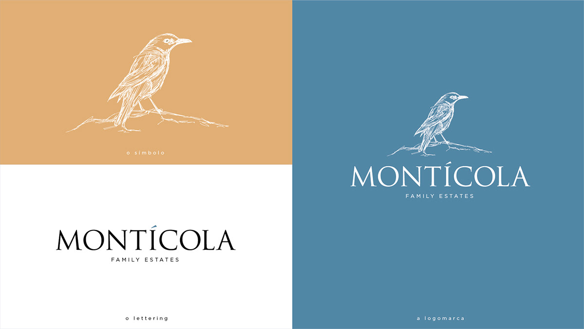 branding  portugal wine design wine branding wine design Wine label Design Wine Labels