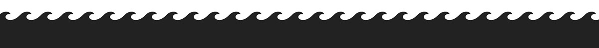 brand identity logo Logo Design Surf visual visual identity