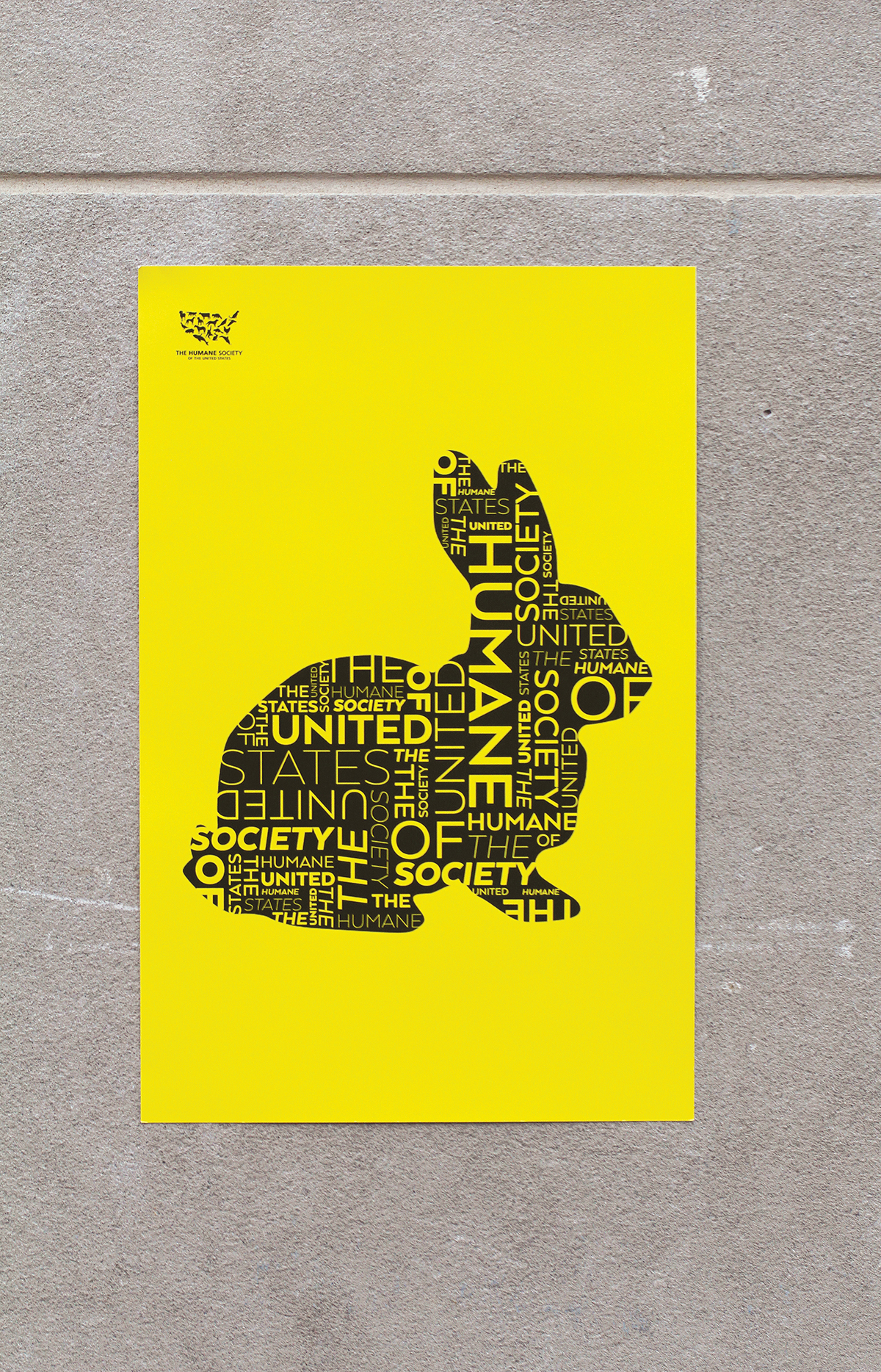 typograph graphicdesign poster posterdesign