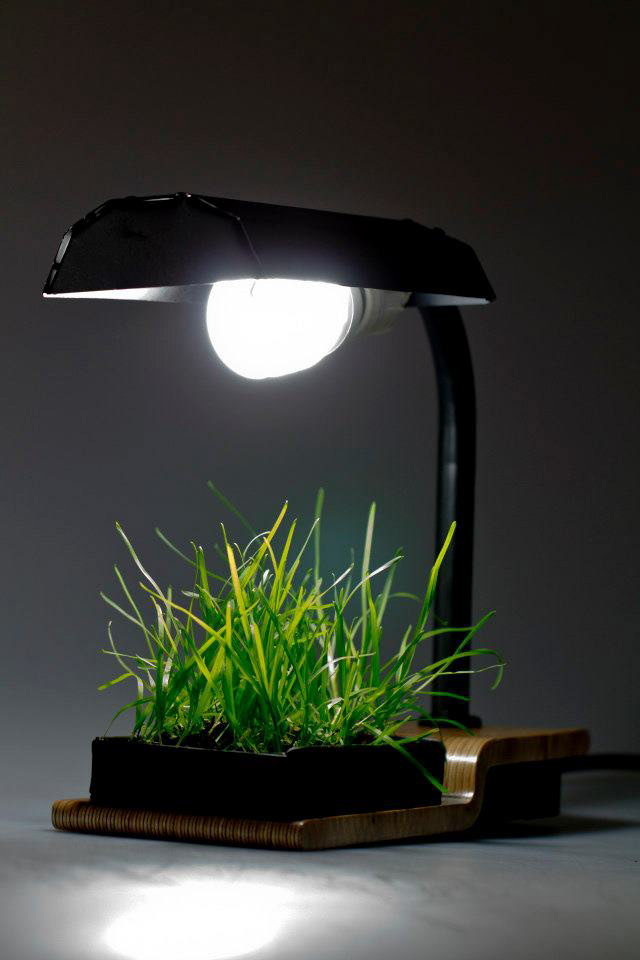 light Lamp grass grow lighting