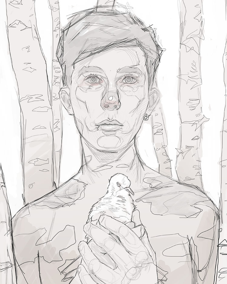 portrait bird self proclaimed epitomes of peace peace woods Nature pencil tdylan t. dylan moore