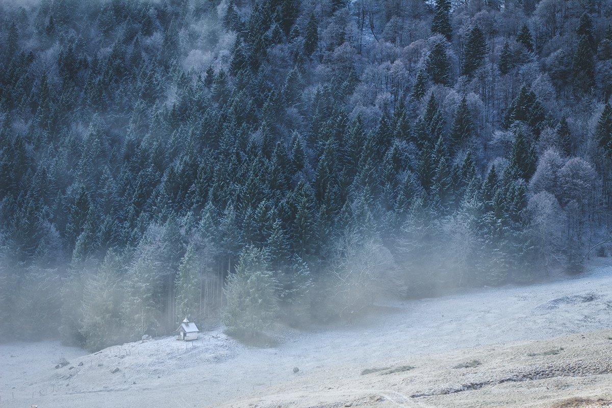 Nature Photography  mountains alps winter fog Landscape
