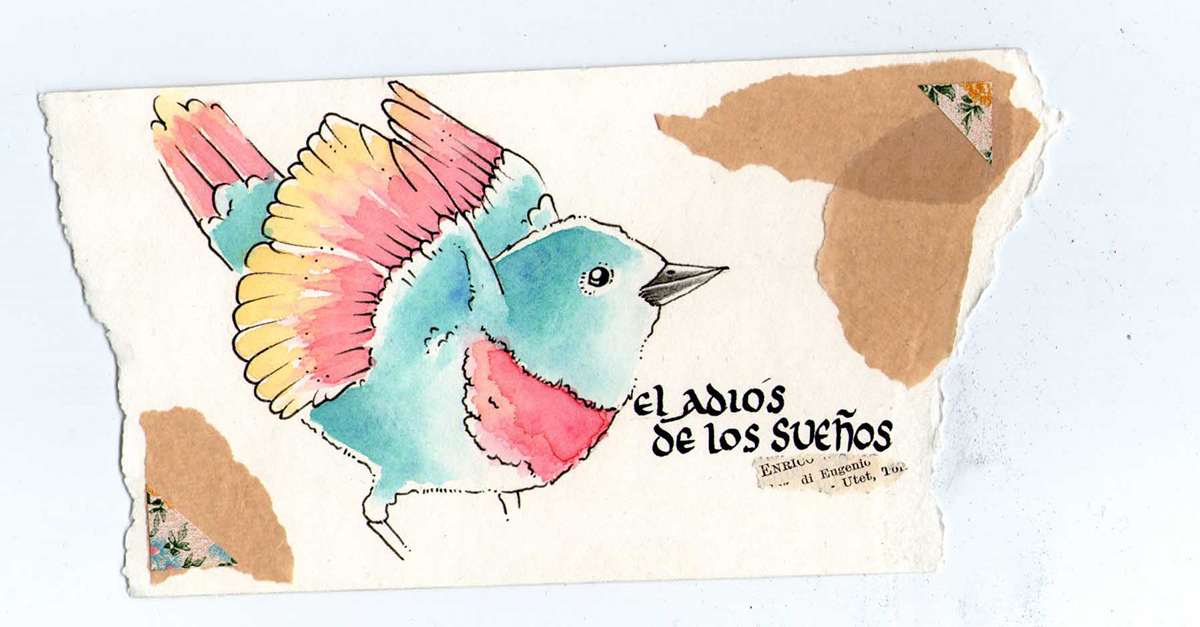 bird Fly sueños watercolors acuarelas collage thedeclinee