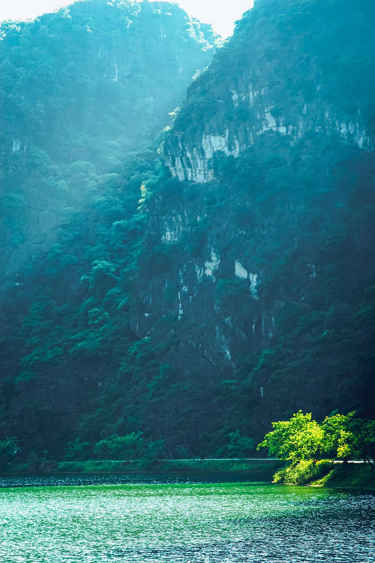 Photography  Nature vietnam lightroom Travel green forest Attraction Landscape Breathtaking