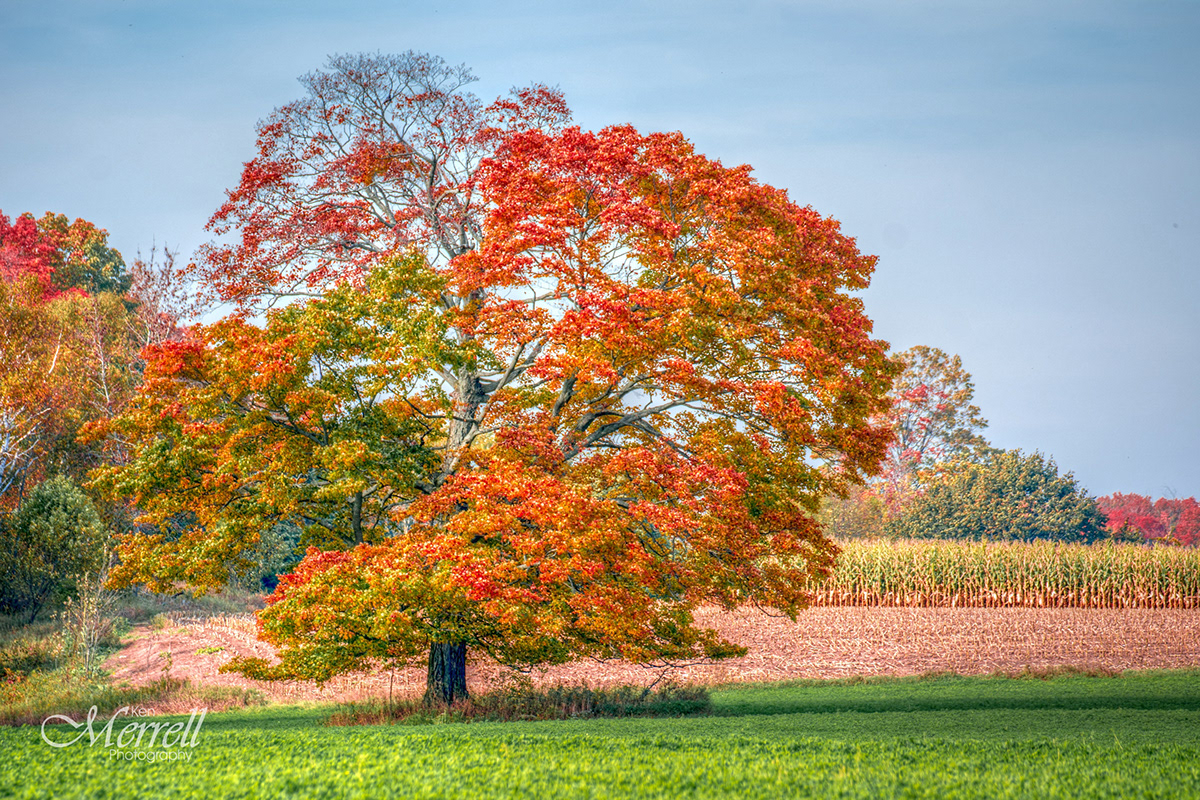 fall colors Door County Wisconsin