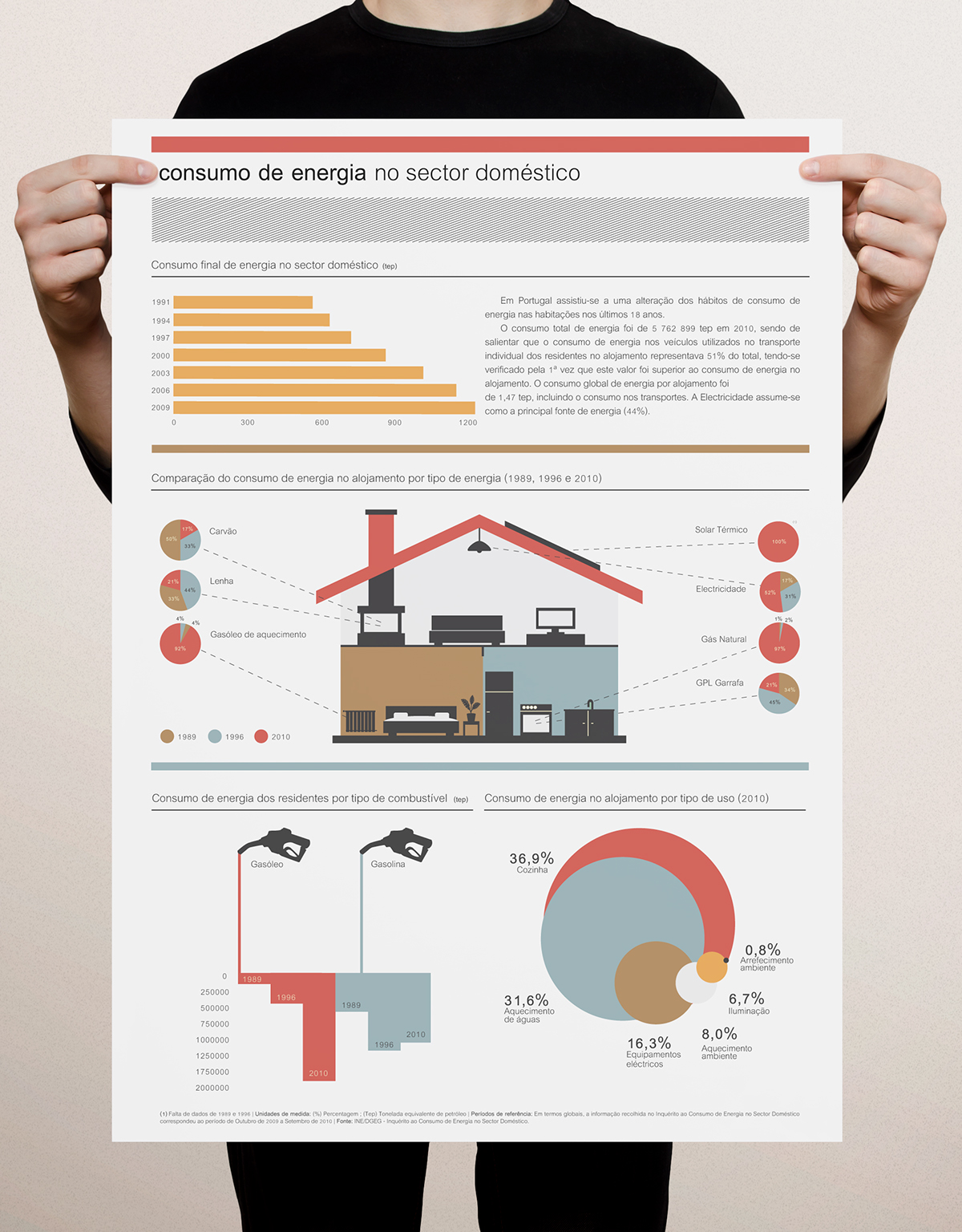 infographic information Portugal energy Energy Consumption  consumption census