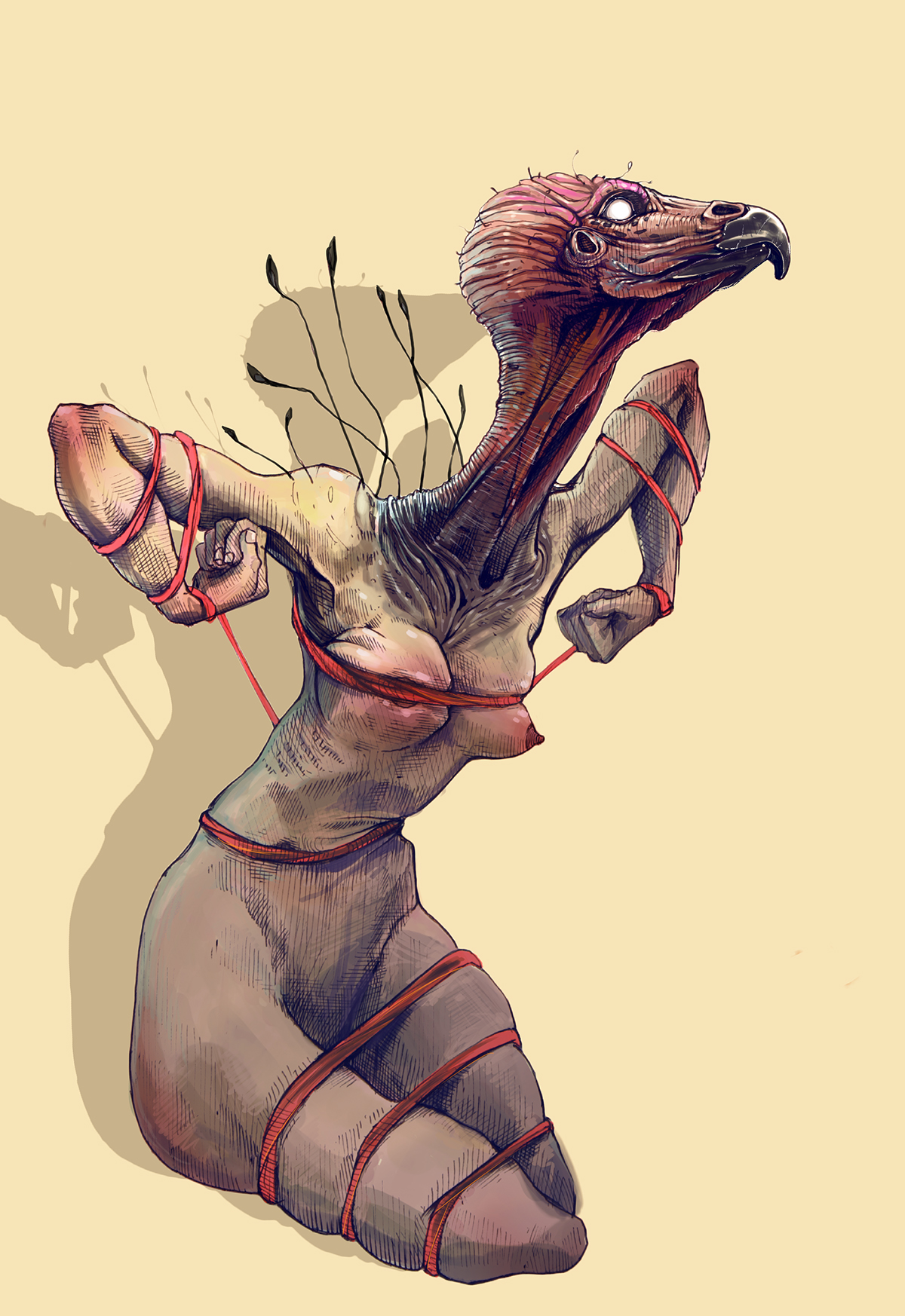 anatomy dog hawk sphinx cat doberman woman ILLUSTRATION  digital paint inspired