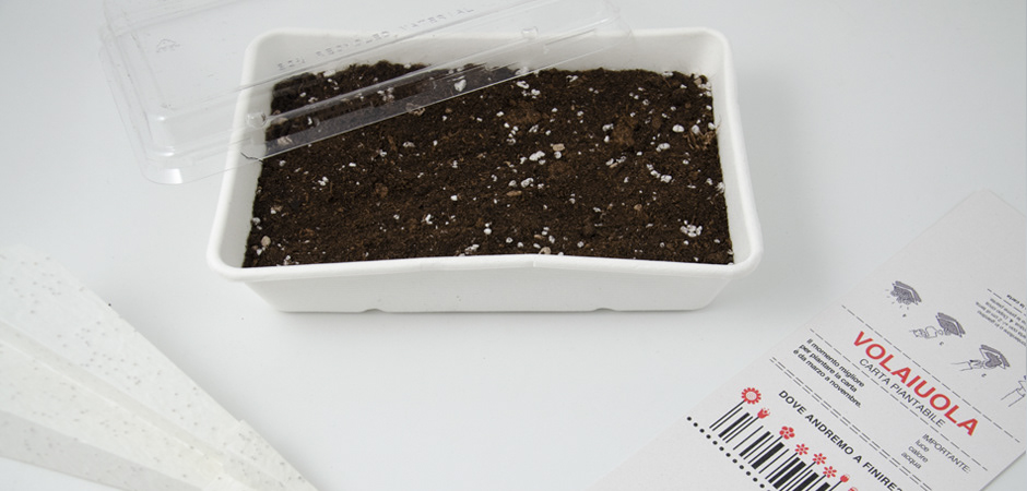 Packaging design organic biodegradabili Paperplane graphicdesign savetheplanet Flowers grown