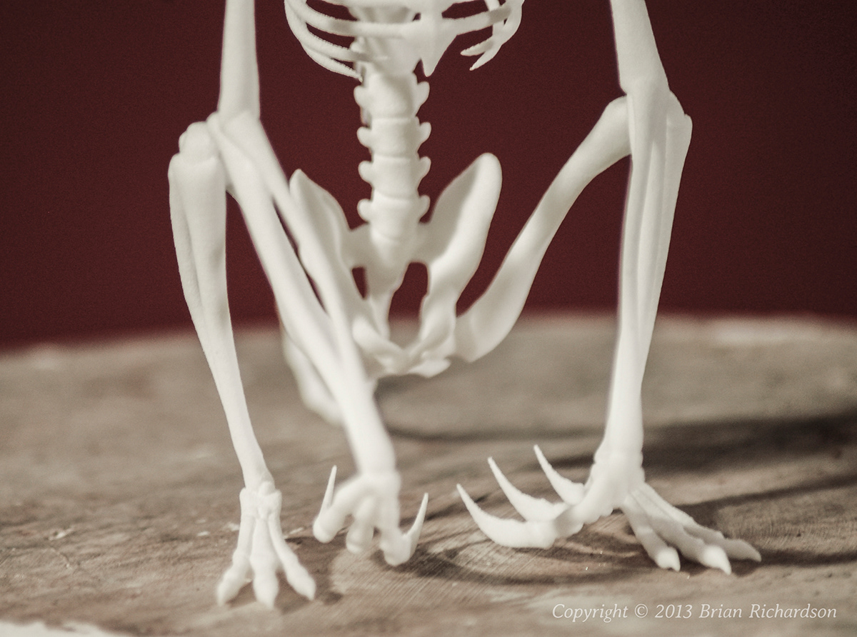 chupacabra goat alien taxidermy bone skeleton myth articulation 3d printed Mythic Articulations