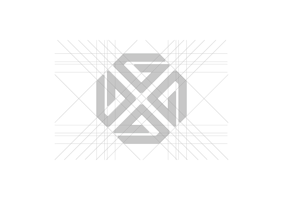 dmize dmize dzigns logo Logo Design branding  brand identity