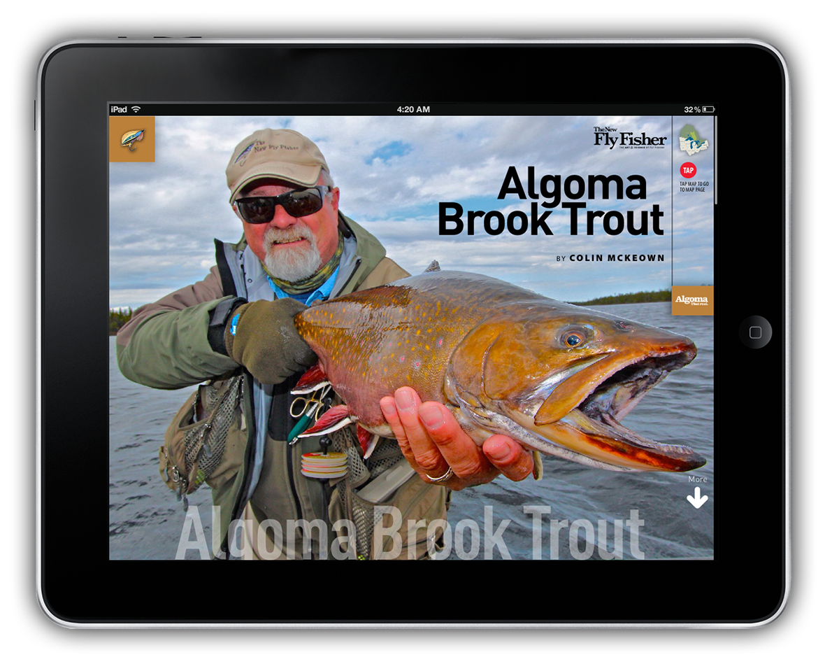magazine ezine Fly fishing page layout Digital Publishing