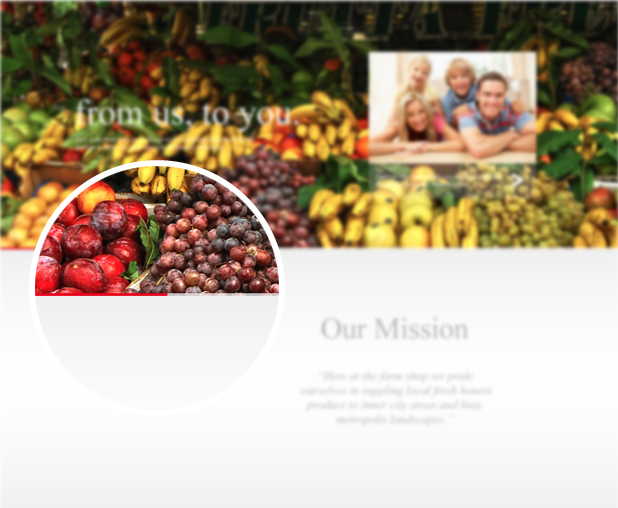 farm shop Webdesign  website 2.0 Fruit Vegtables
