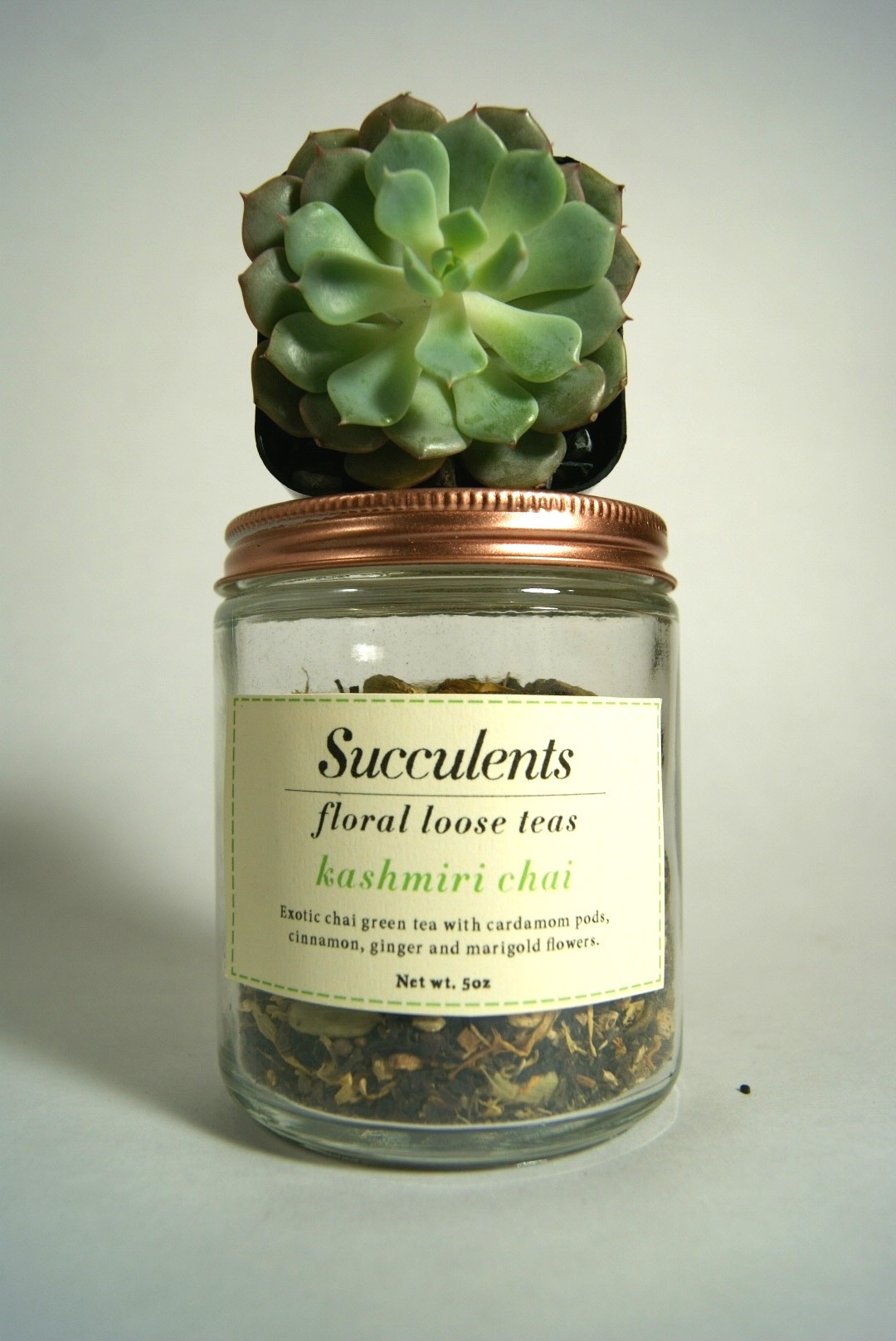 package design  Tea Packaging tea Succulents