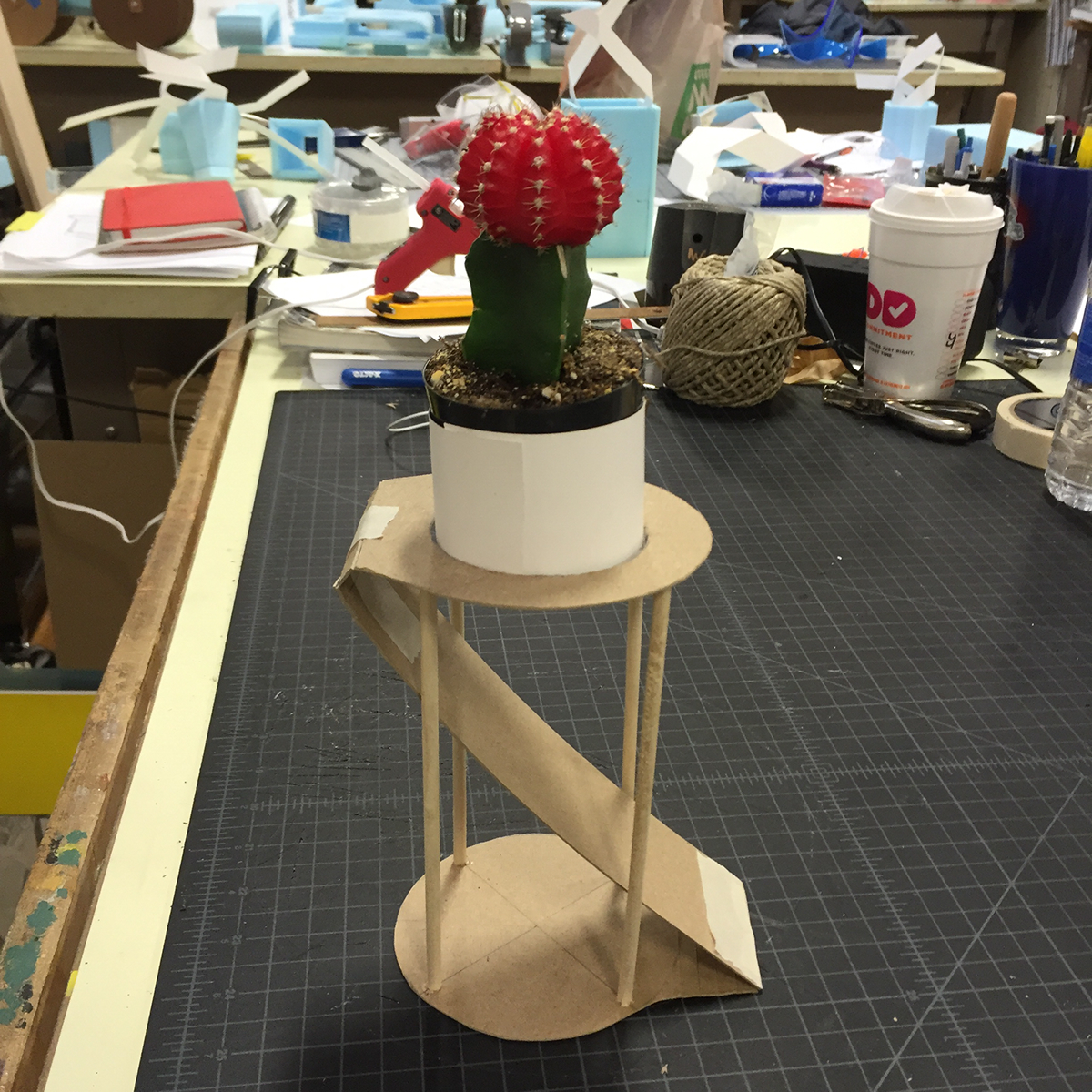 plants moon cactus industrial design  product design 
