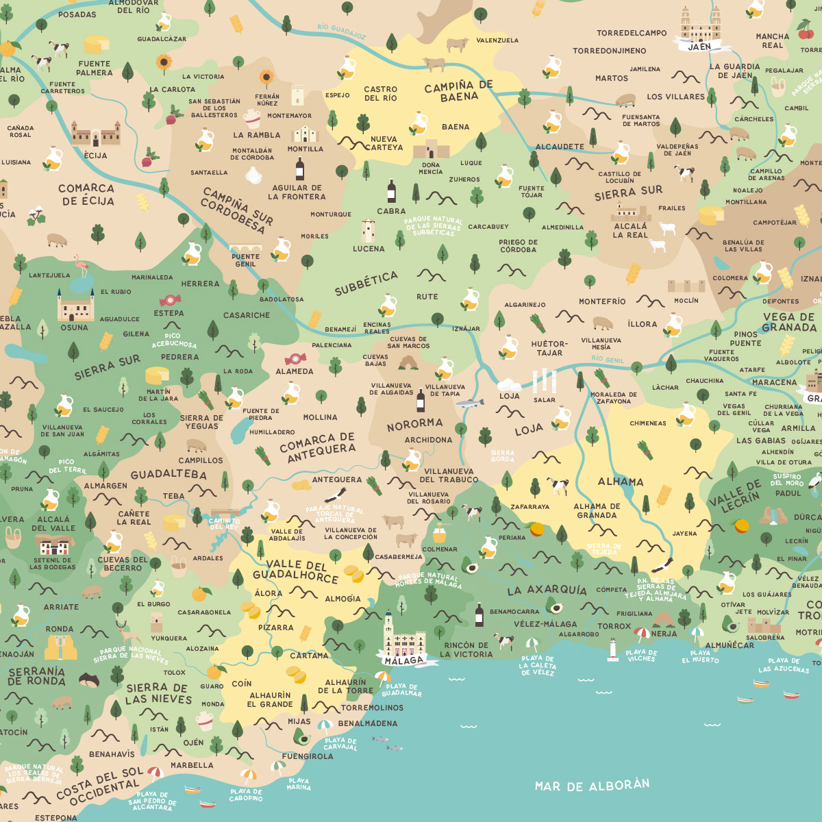 map mapa andalucia ILLUSTRATION  Digital Art  artwork digital illustration vector tourism Travel