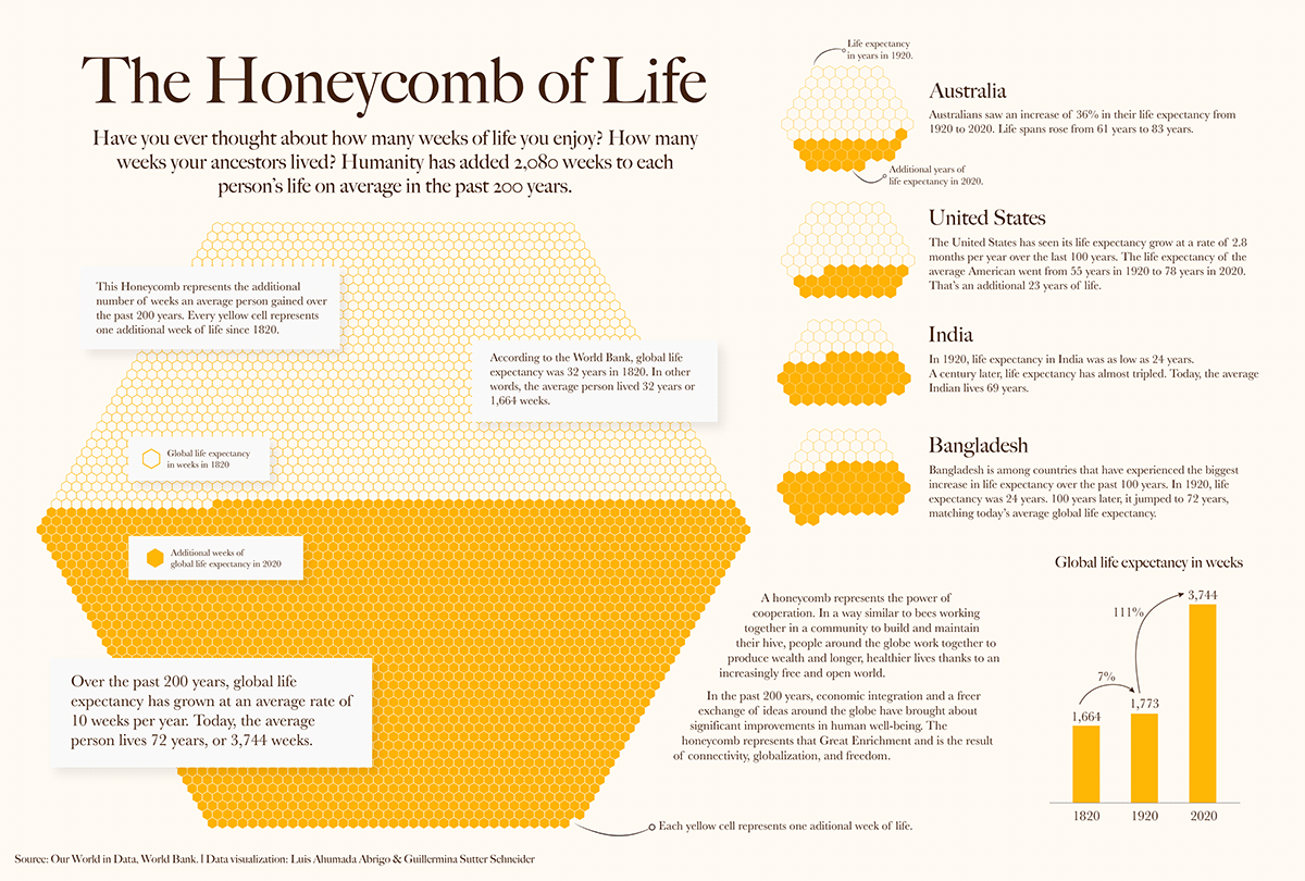 data visualization geometry hexagon infographic life expectancy