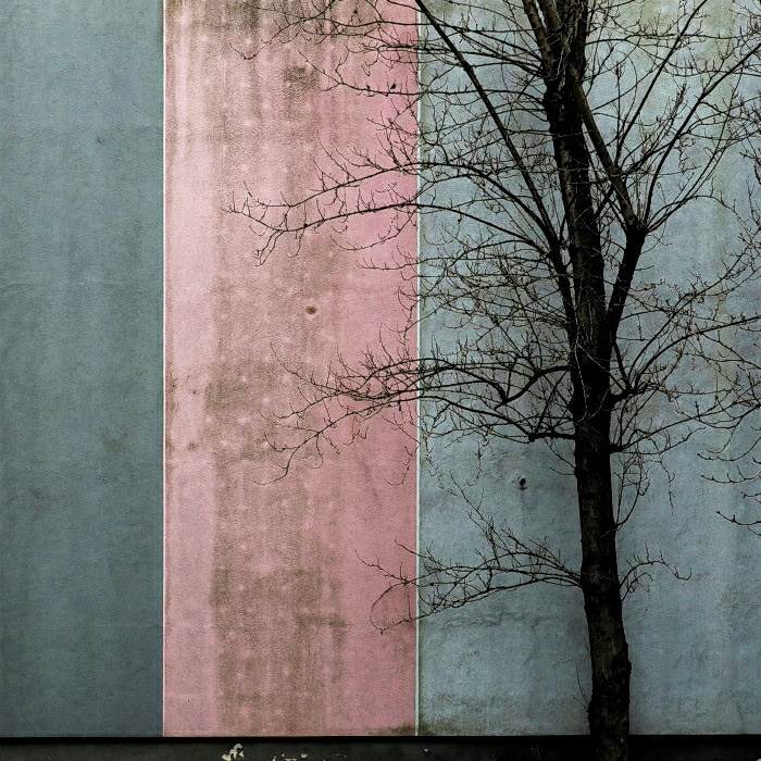 abstract berlin Melancholy minimal Minimalism simple surreal Tree  trees winter
