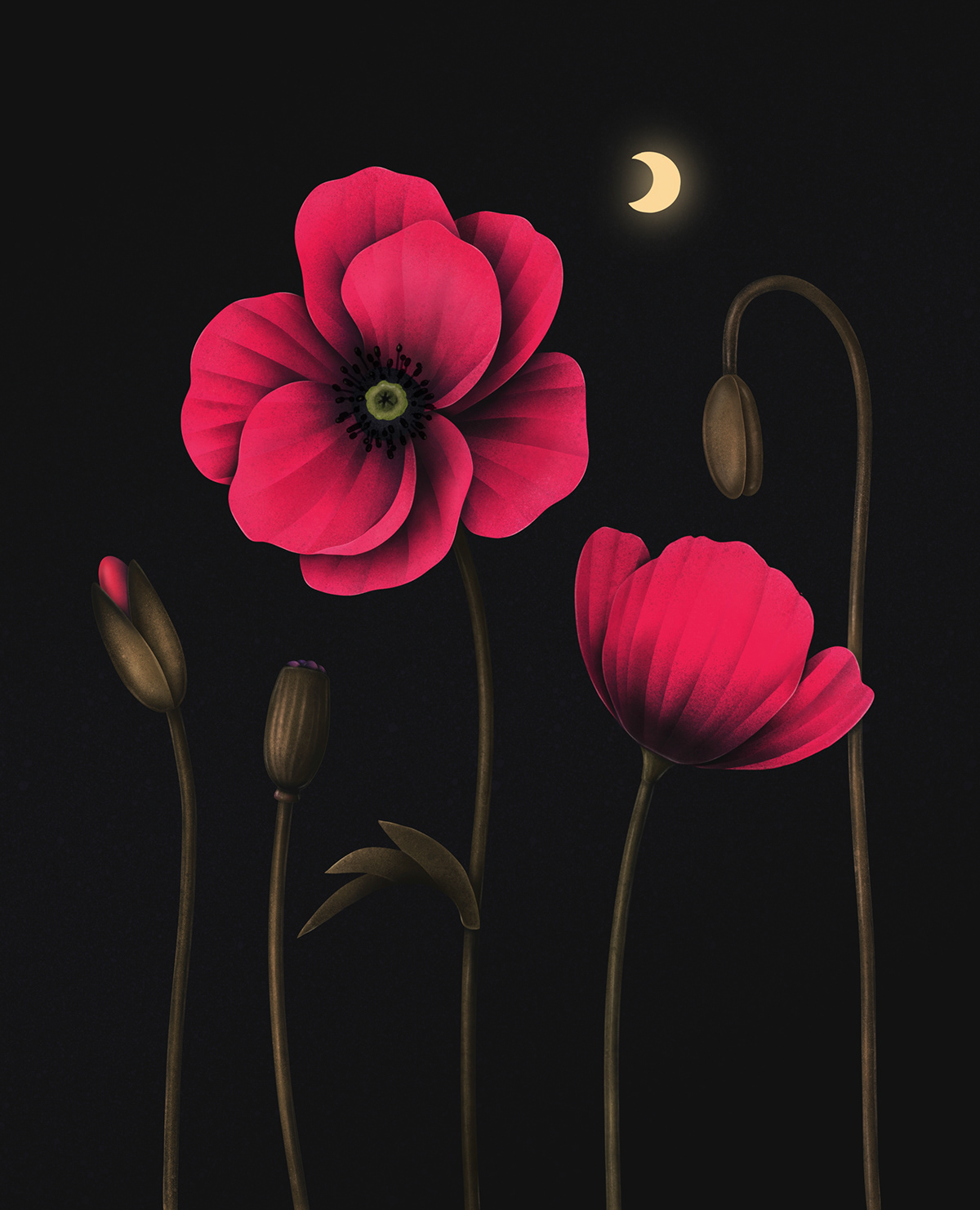 2D animation  botanical Digital Art  illustrtion moon night Procreate purple