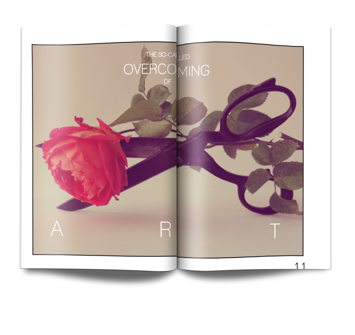 magazine layout Layout magazine design print scissors rose photograph Picture spread