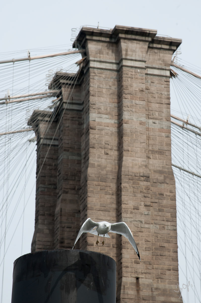 New York Brooklyn Brooklyn Bridge