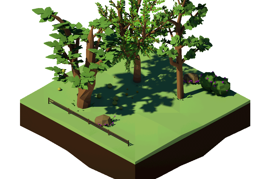 Low Poly Isometric animation  gramas Fruit Tree  aegean fig apricot mulberry