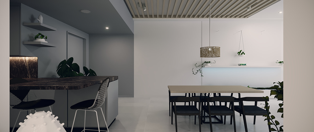 renovation penthouse modern Minimalism jean claude kwizera vancouver interior design  architecture