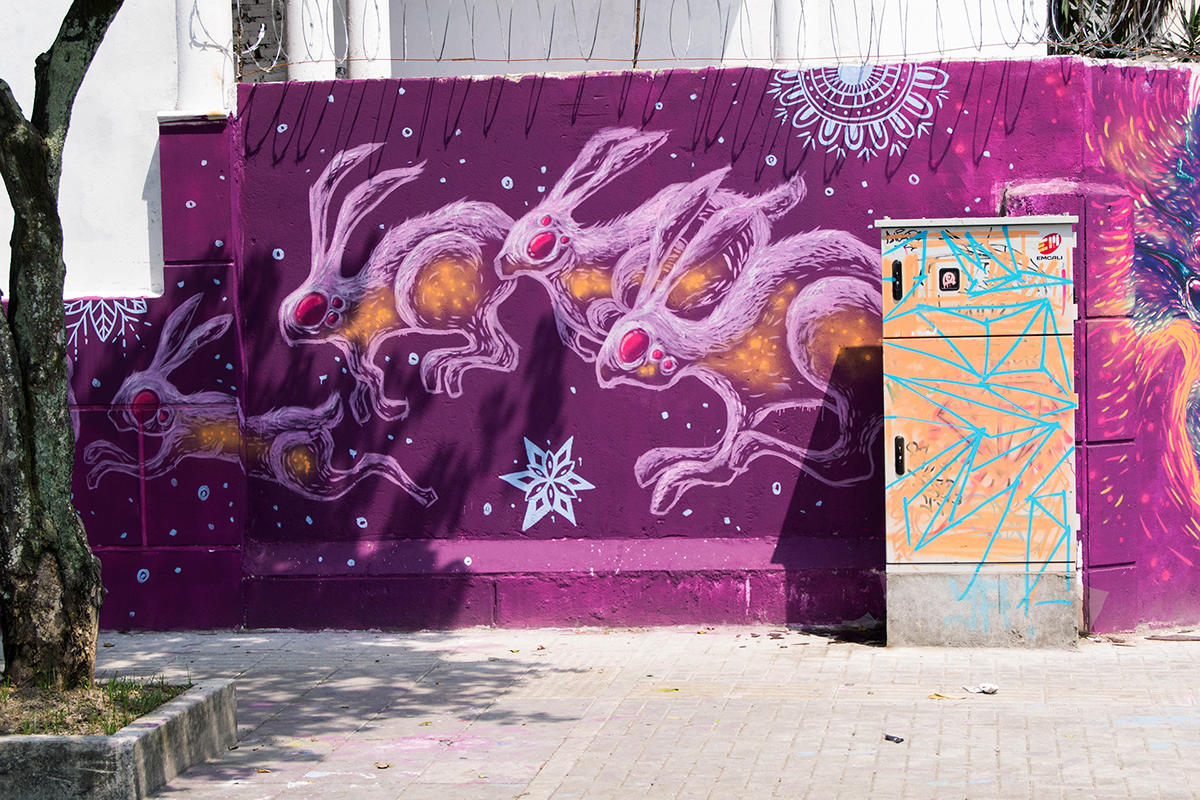 streetart wall Mural lapintoyselacoloreo virgin colombia Urban spray paint hey bro Cali acrylic FOX rabbit psychedelic puro amor