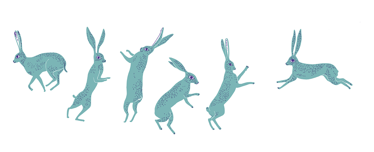 rabbits wall kids