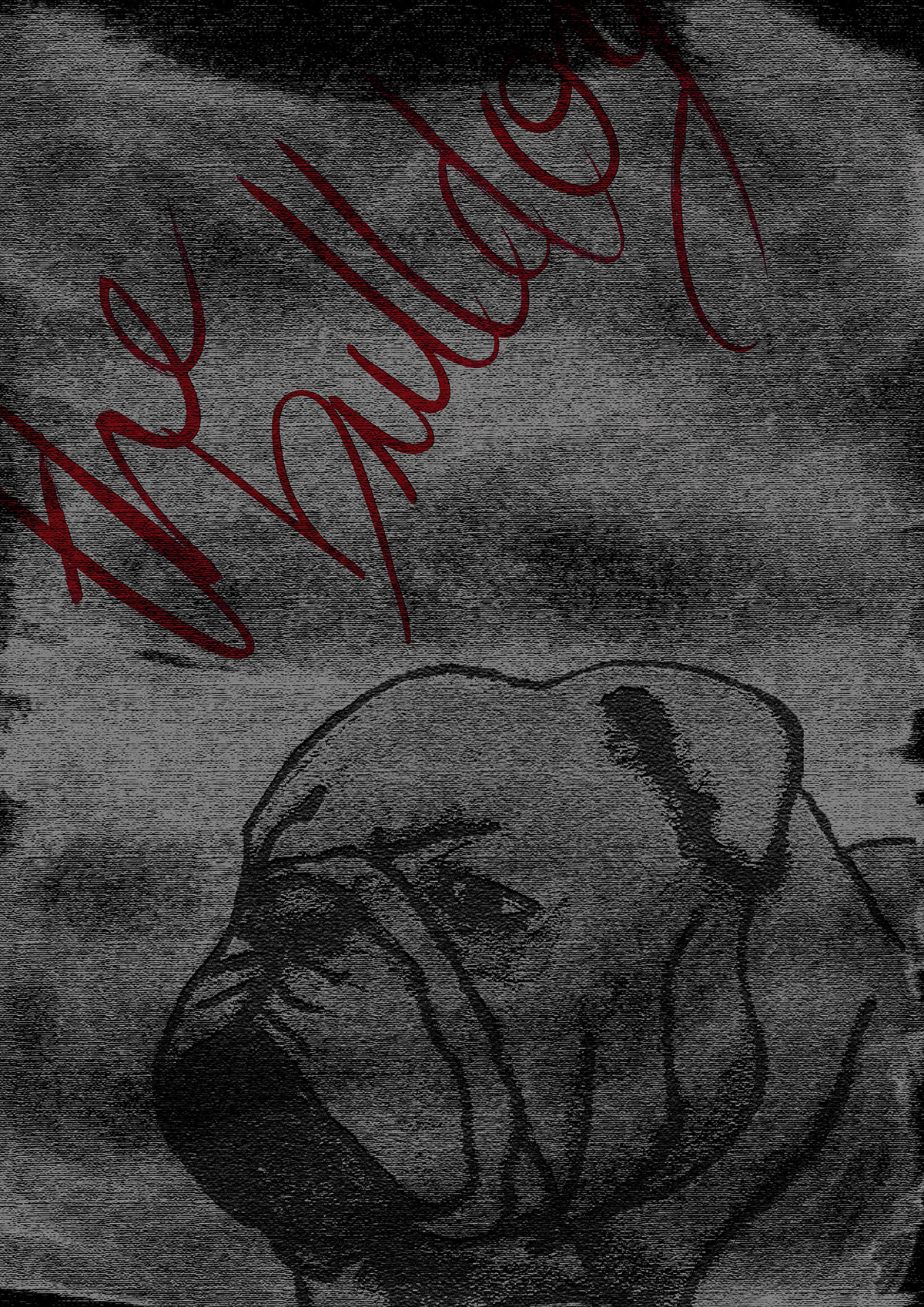 bulldog illustracion picture dog illustration