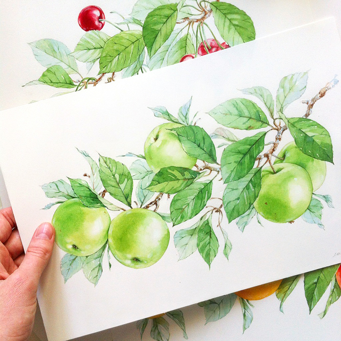 aquarelle apple orange Mango cherry Fruit Food  Pack juice watercolor