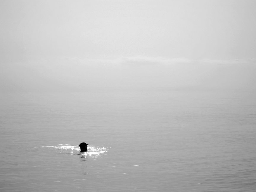 light  monochrome  swimmers  boat  grey sea study ripples  Waves