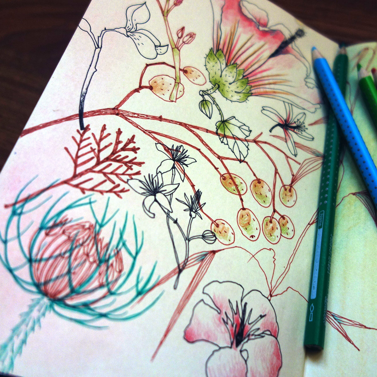 sketch sketchbook doodle art journaling