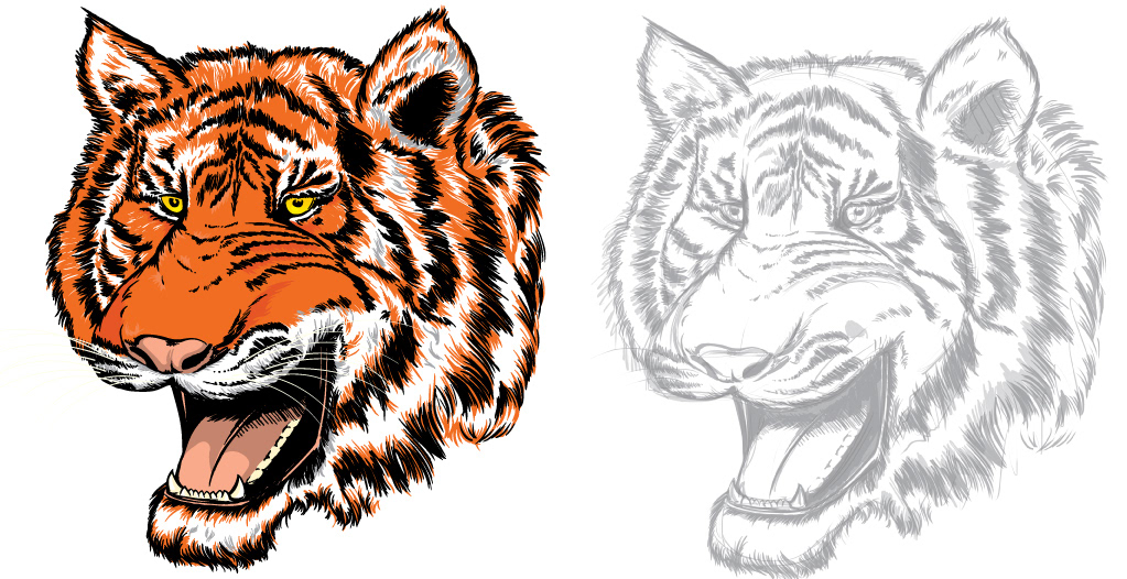 vector animal head tiger hand draw