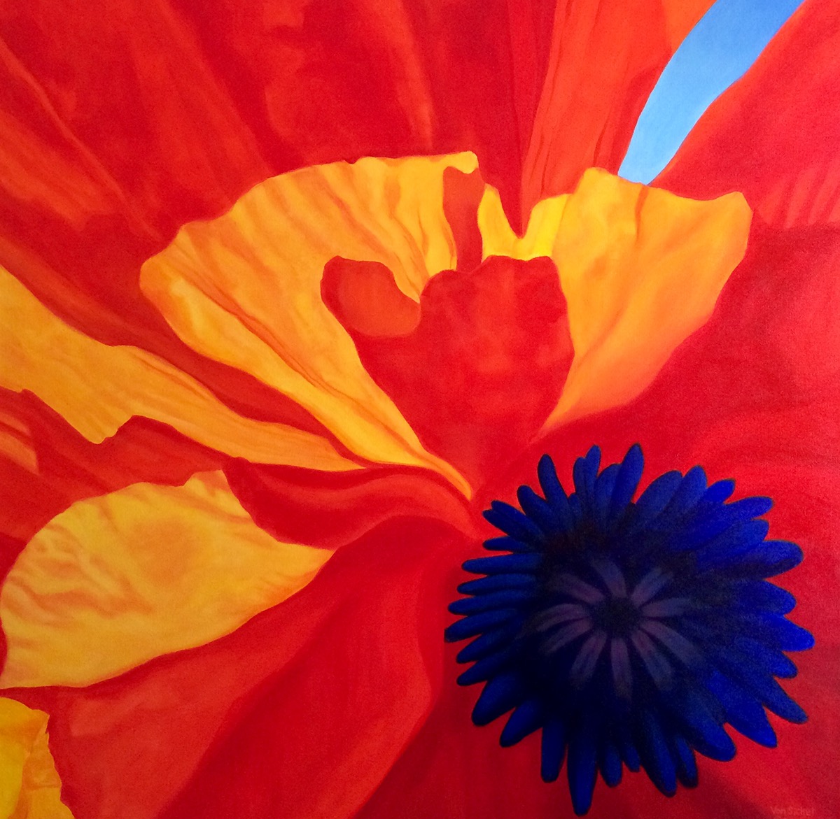 poppy acrylic painting canvas red orange blue purple flower