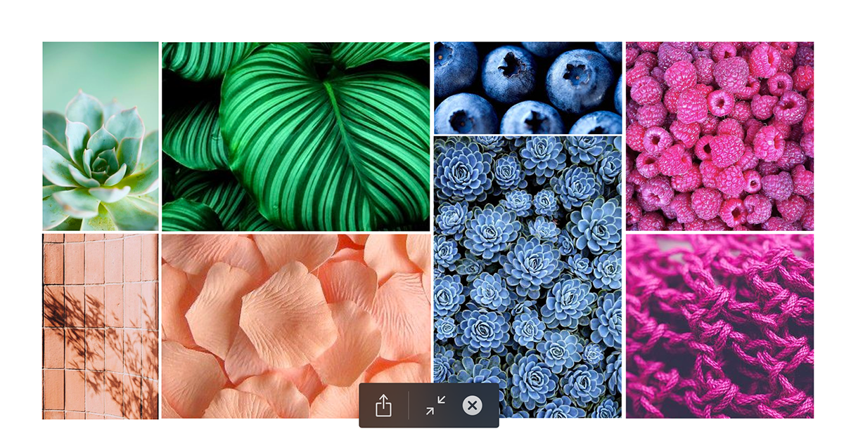 Adobe Portfolio table top colors backgrounds splitscreen
