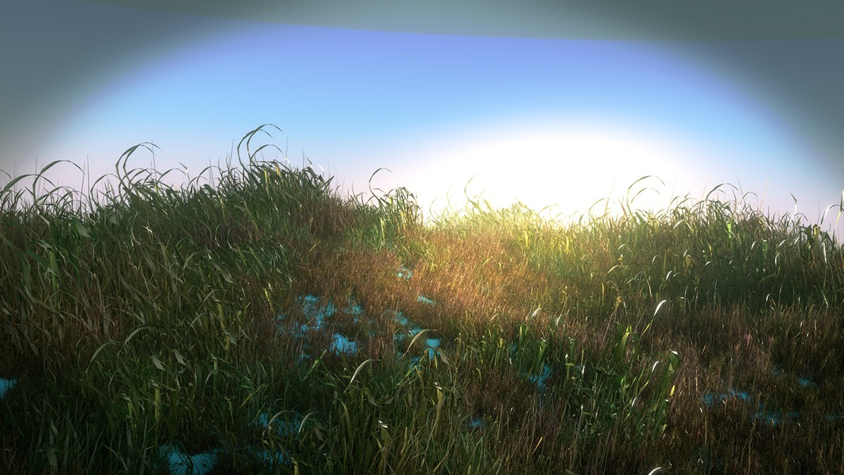 digital media smoke rendering 3D grass