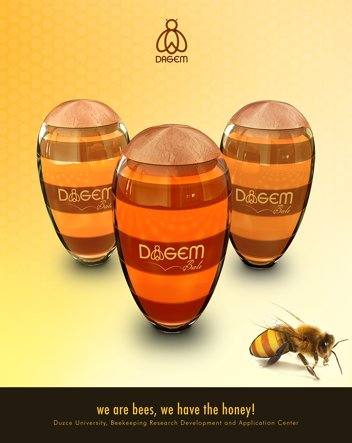 honey Dagem Honey jar jar bee düzce üniversitesi yığılca yığılca arısı yigilca bee Honey jar