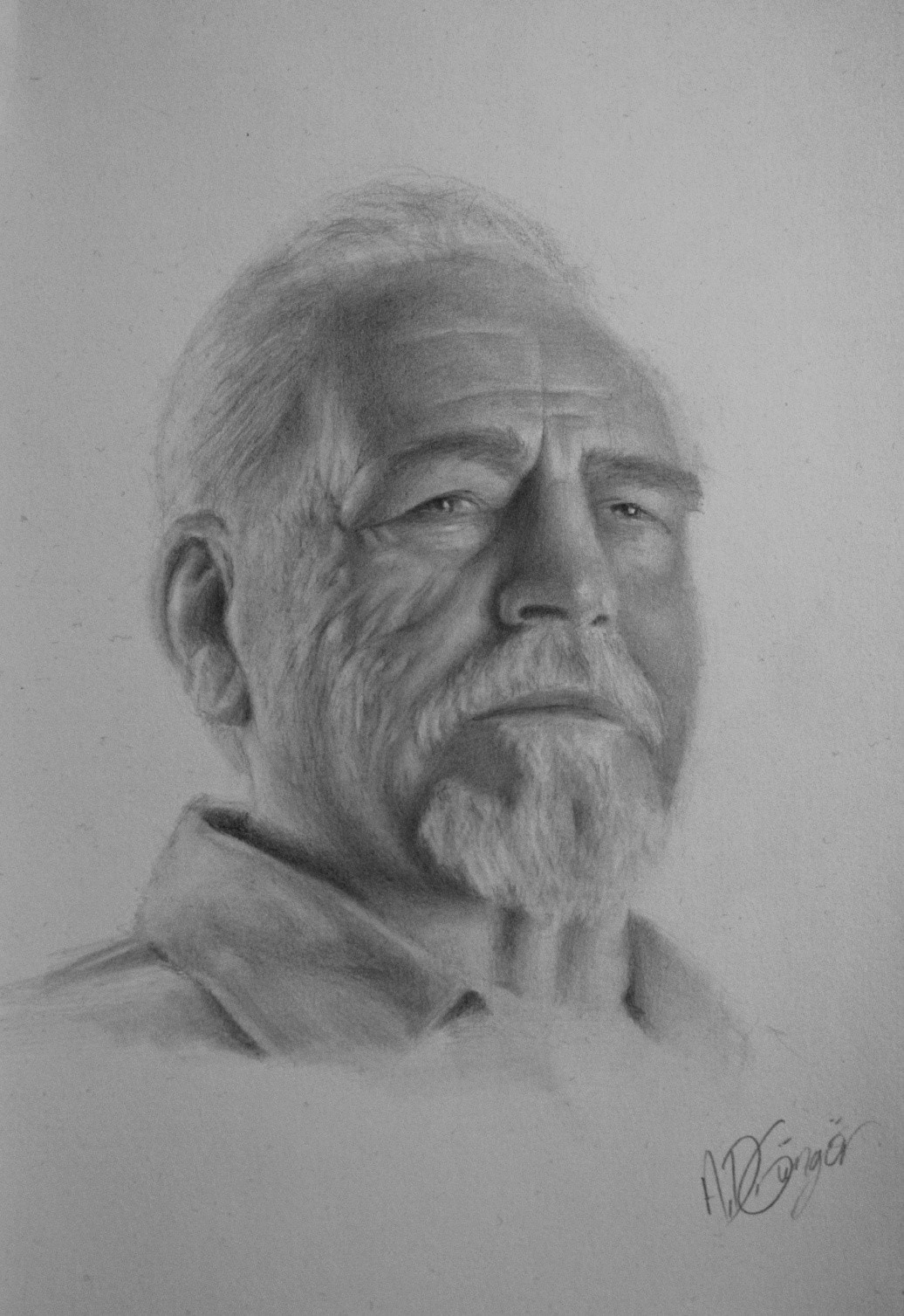 Drawing  portrait Celebrity Brian Cox graphite drawing