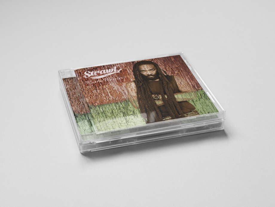 cd reggae rasta cover concept