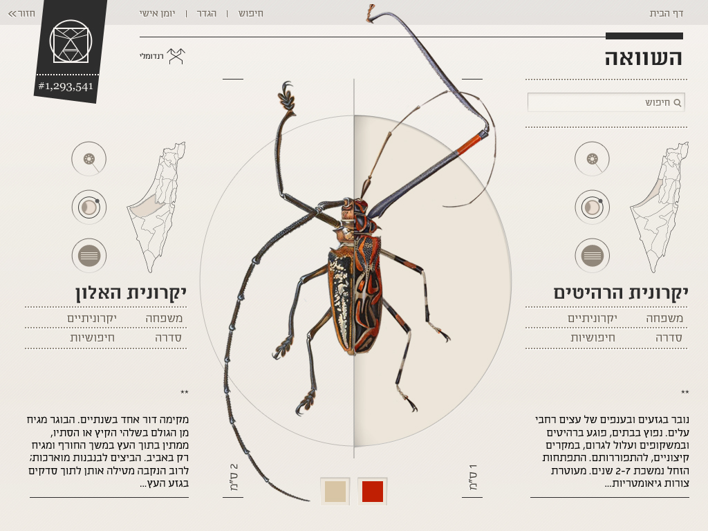 Application Design typography   israel hebrew  ipad app  insect  UI  UX  Interaction Design  graphic design