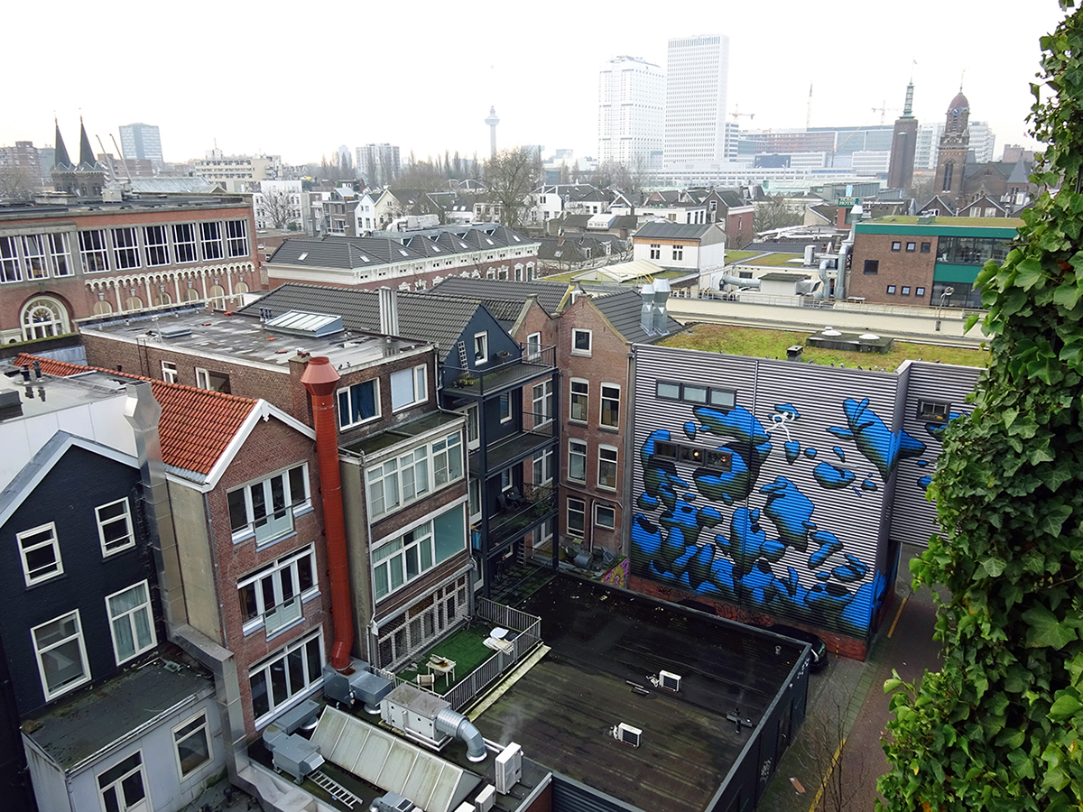 Daan Botlek wallpainting Mural kühne Kuhne&Co Boomgaardsstraat Rotterdam