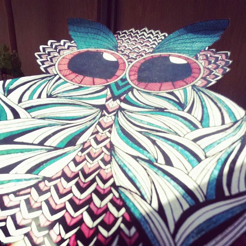 chouette owl rue lyon collage motifs Patterns urbain papier animal amusant Nature oiseau plumes color