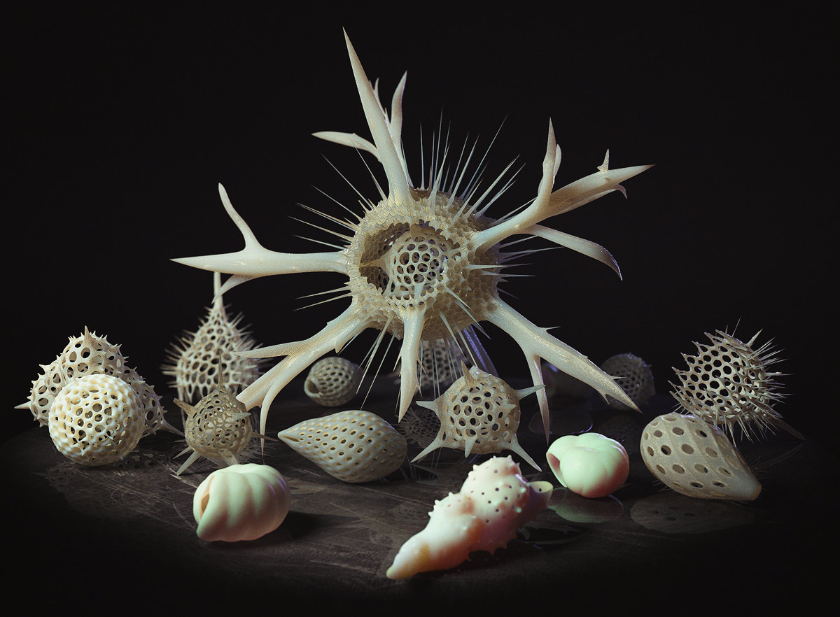 radiolaria foraminifera skeletons 3D micro macro life Nature realistic