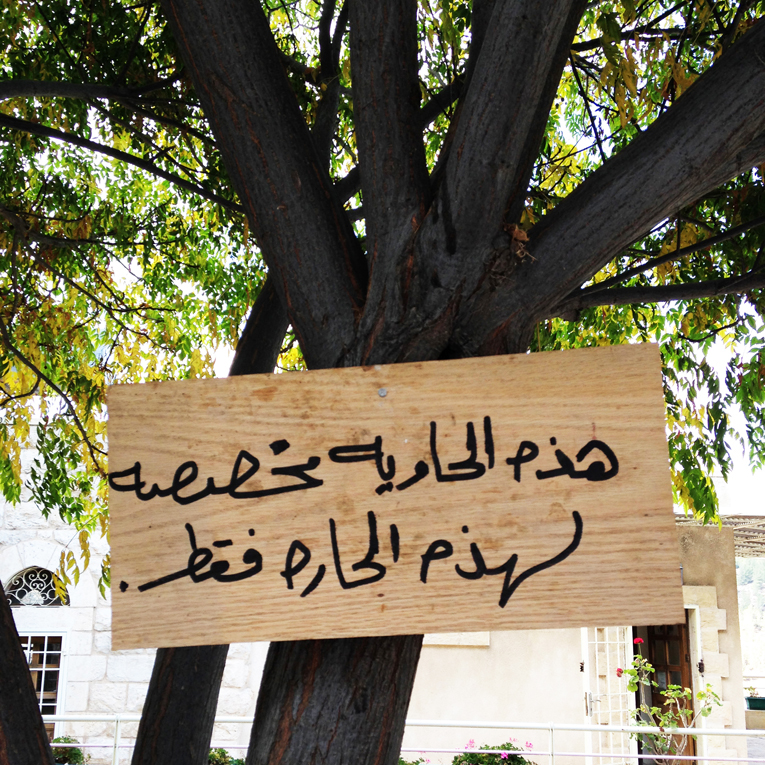 Adobe Portfolio stereotypes misconception Gender palestine lebanon egypt Street ramallah female