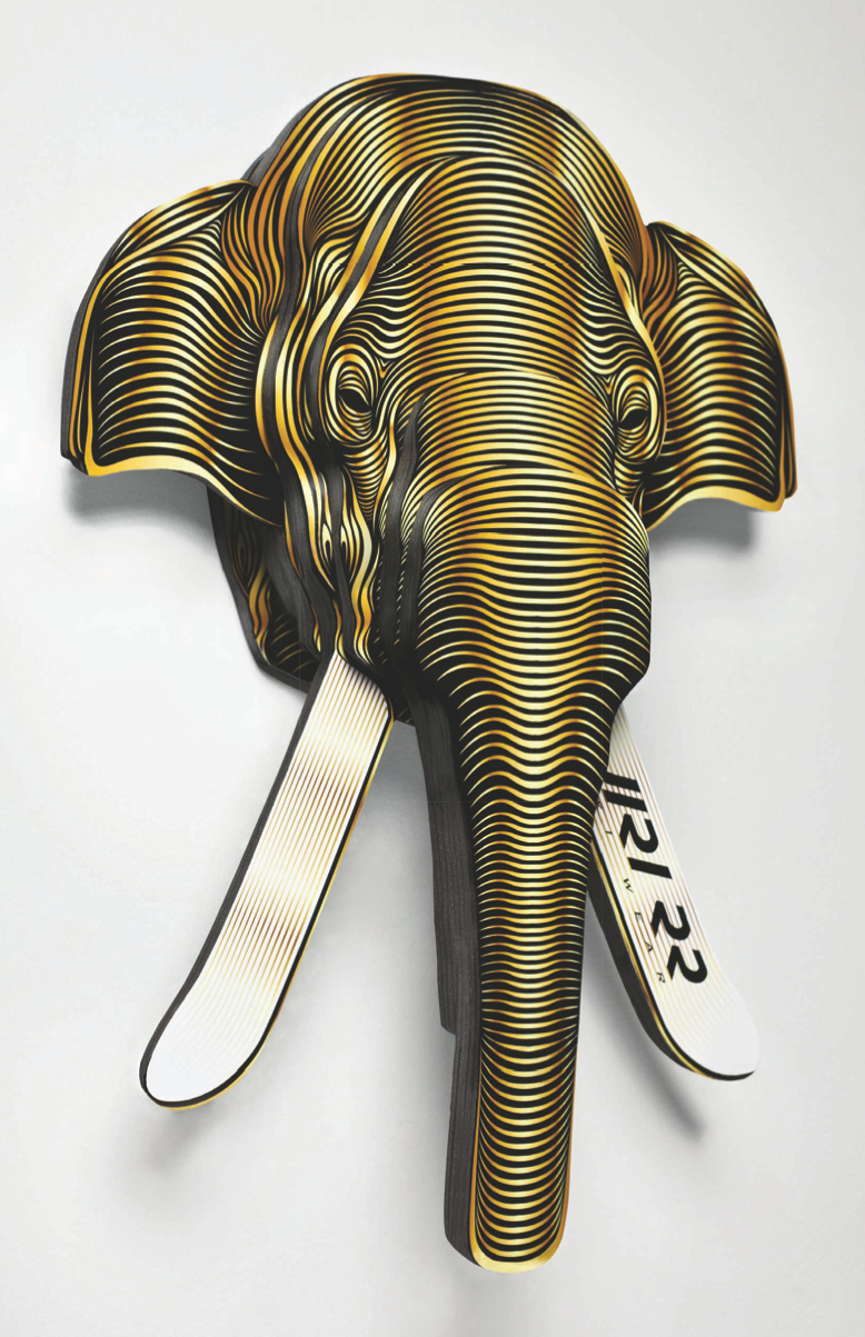 object objet promo promotionnel Promotional creative media animal elephant walrus Ski wear equipment design
